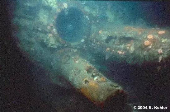 如何畅玩海南环岛旅游公路？请收好这份“自驾指南”
