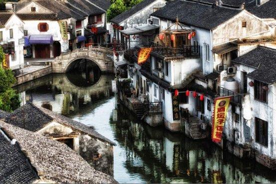 动物帮帮忙保卫家园